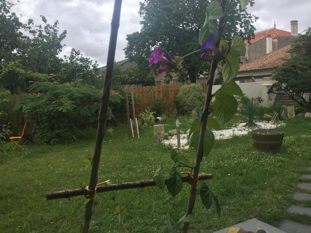 Accacia Home Ferrieres  Экстерьер фото